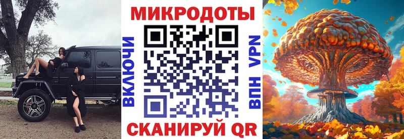 где найти   Красноярск  blacksprut ССЫЛКА  Галлюциногенные грибы Psilocybe 